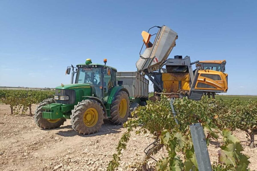 Constatan una merma de cosecha en el inicio de la vendimia en pueblos de Ciudad Real