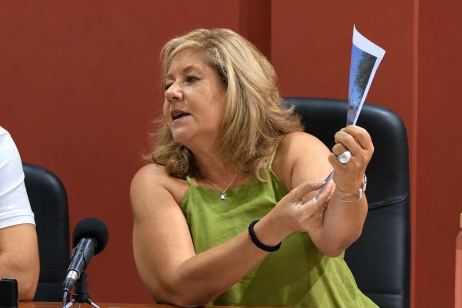 Una exconcejala del PP denuncia a la alcaldesa de Torralba, del mismo partido, por un supuesto caso de espionaje
