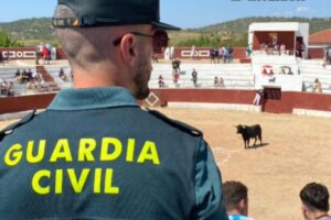 Agente de la Guardia Civil en un espectáculo taurino