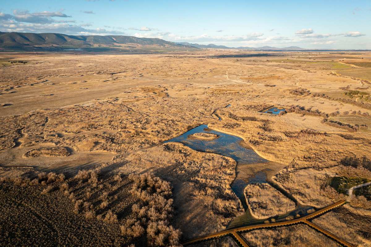 Imagen de archivo de los efectos de la sequía en Las Tablas de Daimiel - Foto: WWF