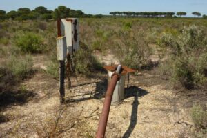Imagen de una extracción ilegal en el entorno de Las Tablas de Daimiel - Foto: WWF