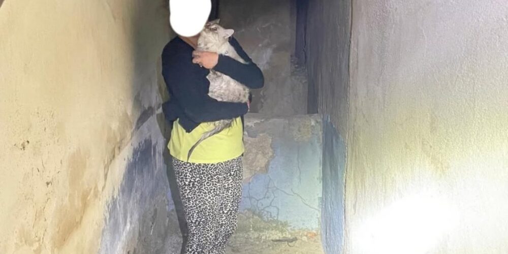 Imagen difundida por los bomberos de Ciudad Real de la dueña y su gato