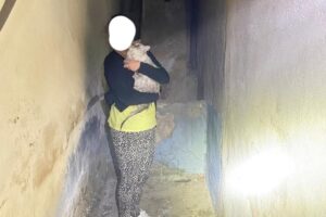 Imagen difundida por los bomberos de Ciudad Real de la dueña y su gato