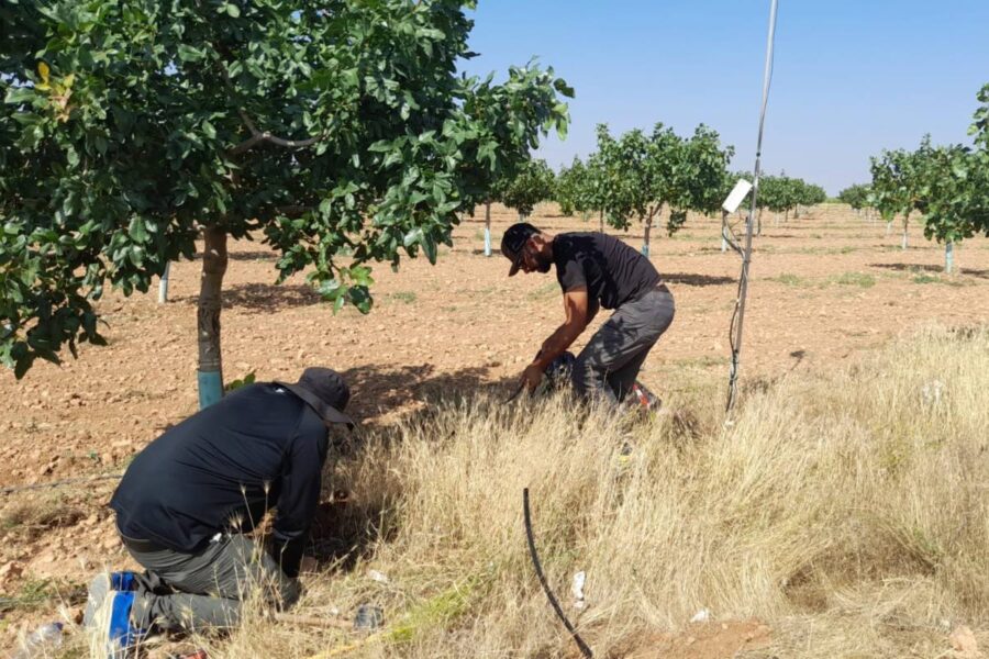 Un proyecto europeo presente en Castilla-La Mancha demuestra la utilidad de la fertirrigación en los cultivos