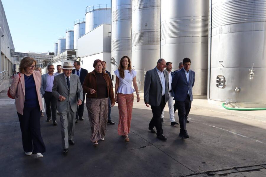 Europa pone sus ojos en Tomelloso: regiones de Austria, Alemania y República Checa debatirán allí el futuro del vino