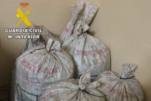 Sacos de aceituna robada intervenidos. Foto: Guardia Civil Toledo