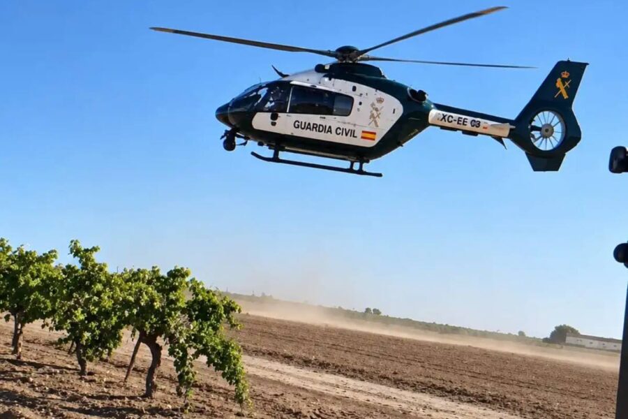 Unión de Agricultores y Ganaderos exige proporcionalidad en los controles durante las campañas agrícolas