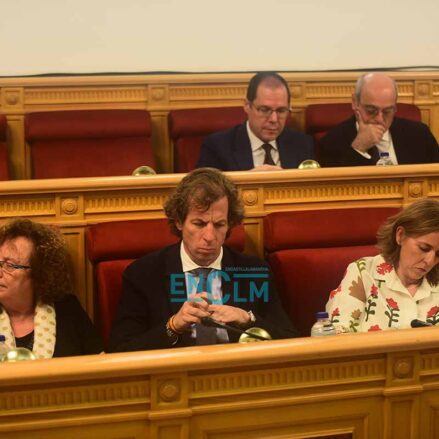 Fotos | La primera jornada del debate sobre el estado de la ciudad de Toledo — imagen 15