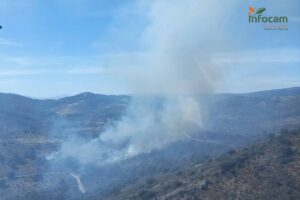 Incendio Cardoso de la Sierra Foto: Infocam