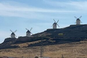 Zona de los molinos de Consuegra (Toledo) afectada por las llamas. Foto: CMM