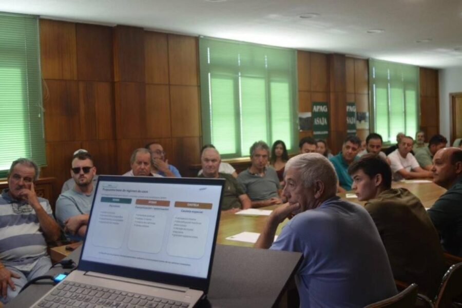 El Olivar de La Alcarria busca ser declarado Sistema Importante del Patrimonio Agrícola Mundial