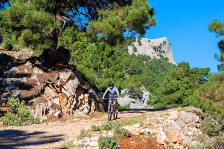 Las rutas en bici más espectaculares de Castilla-La Mancha para descubrir sus paisajes más sorprendentes