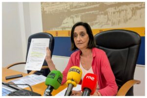 La viceportavoz del PSOE de Talavera, Flora Bellón