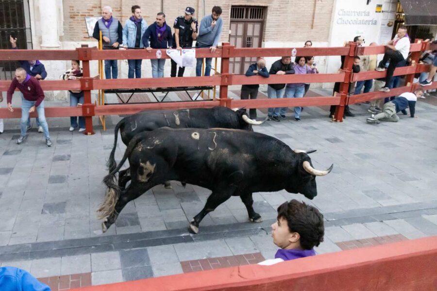 Más de 2.000 corredores despiden los encierros de Guadalajara en una masiva quinta carrera