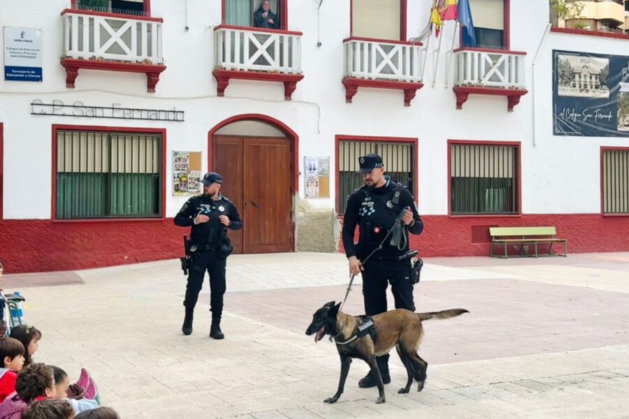 Kai y Kora, nuevos agentes caninos de la Policía Local de Albacete para la detección de sustancias ilícitas