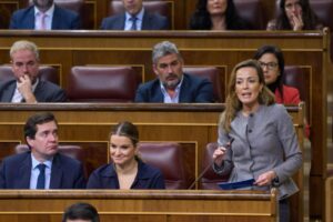 Carmen Navarro en una intervención en el Congreso de los Diputados. Foto: PP