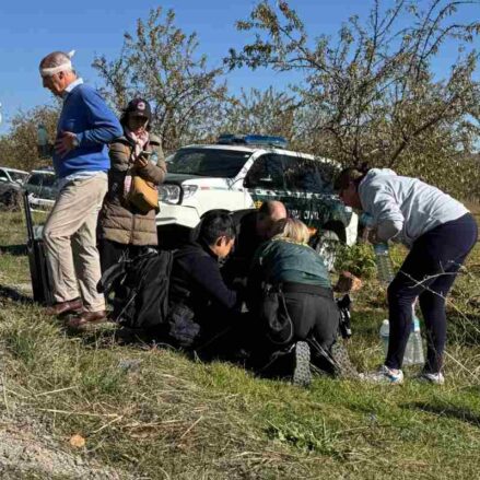 Las primeras fotos del trágico accidente ferroviario de Urda (Toledo) — imagen 7