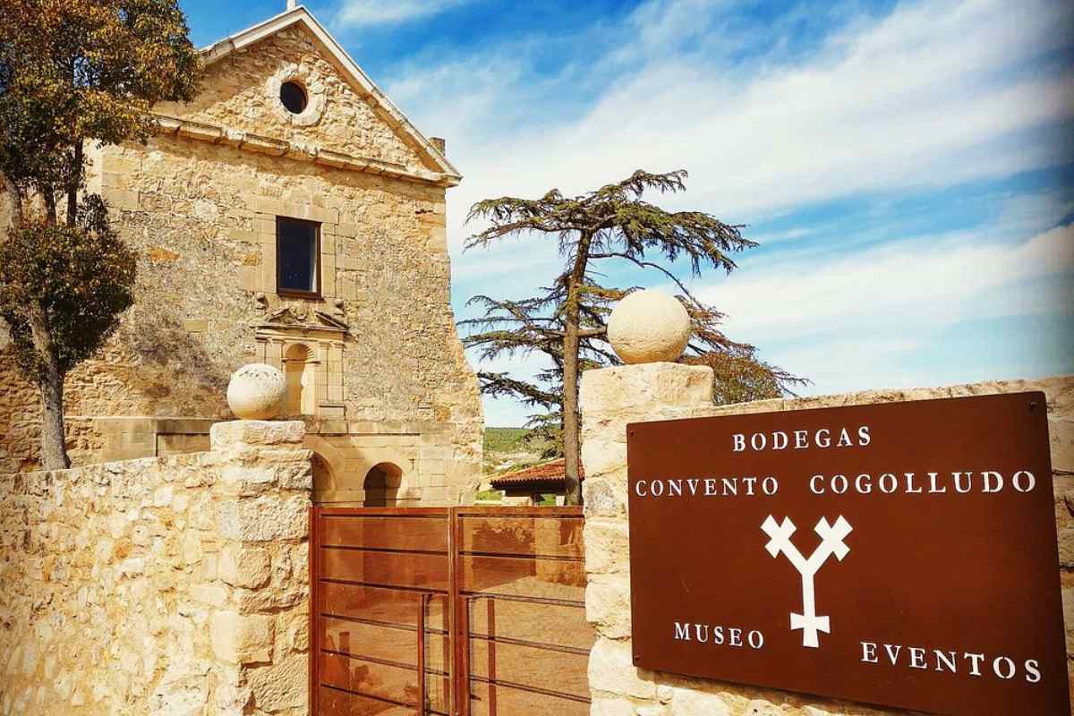 Bodegas Convento Cogolludo Foto: Bodegas Convento Cogolludo