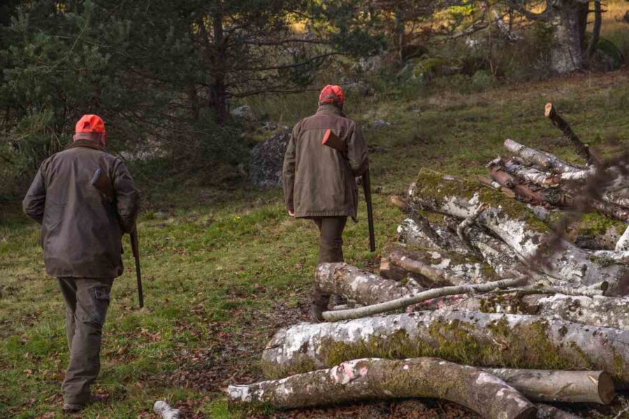 Arranca la temporada de caza en Castilla-La Mancha con el nuevo reglamento del sector en vigor