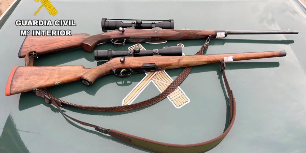 Rifles incautados Molina de Aragón