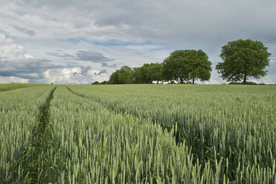 Publicado el segundo listado provisional de agricultores beneficiarios de las ayudas a los fertilizantes