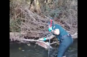 Imagen del hallazgo del perro en el río.