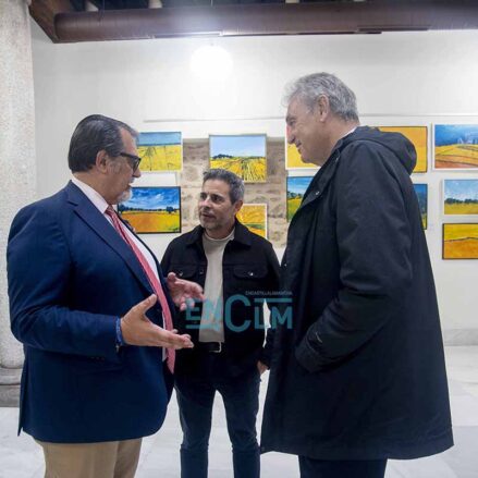 Fotos | La mesa redonda en el Colegio de Médicos de Toledo sobre el cáncer de mama analizado desde diferentes ámbitos y experiencias — imagen 4