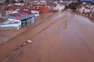 Madrigueras tras la riada. Imagen: vídeo de CMM.