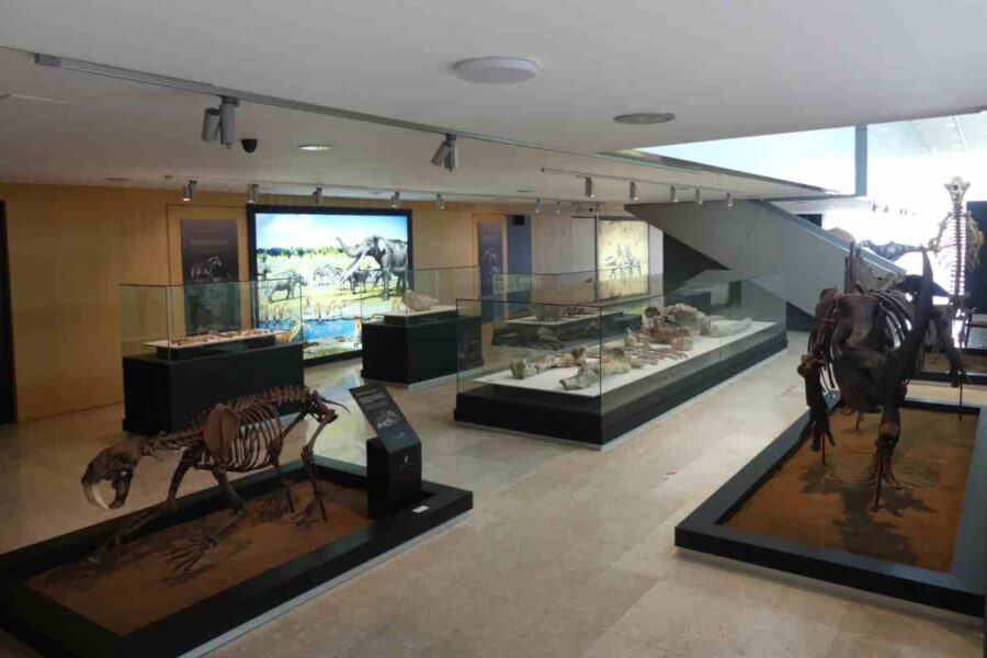 ¿Te imaginas viajar millones de años atrás? Un lugar de Cuenca te lleva a los dinosaurios y tiene muchas novedades
